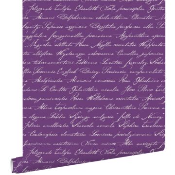 papier peint noms de fleurs manuscrits en latin violet foncé