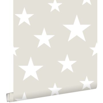 papier peint grandes et petites étoiles gris clair et blanc