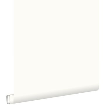 papier peint uni blanc