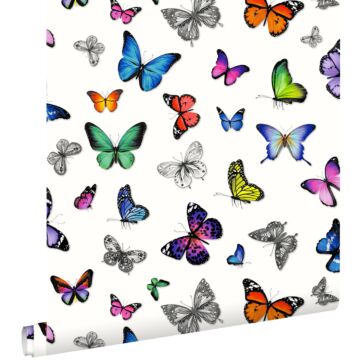 papier peint papillons multicolore