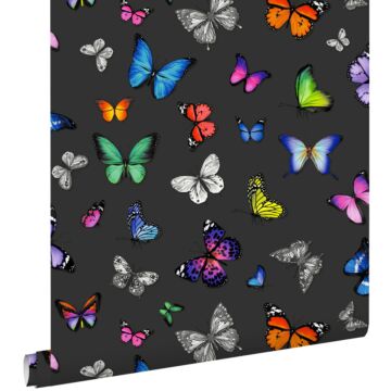papier peint papillons multicolore sur noir