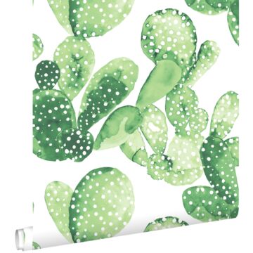 papier peint cactus peint à l'aquarelle vert jungle tropicale