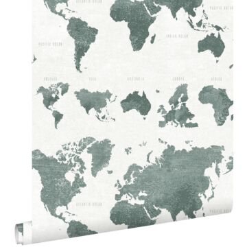 papier peint cartes du monde vert grisé