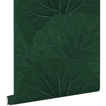 papier peint grandes feuilles vert émeraude