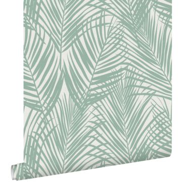 papier peint feuilles de palmier vert menthe