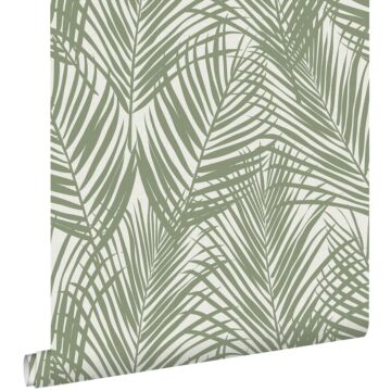 papier peint feuilles de palmier vert olive grisé