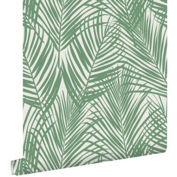 papier peint feuilles de palmier vert jade