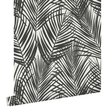 papier peint feuilles de palmier noir et blanc