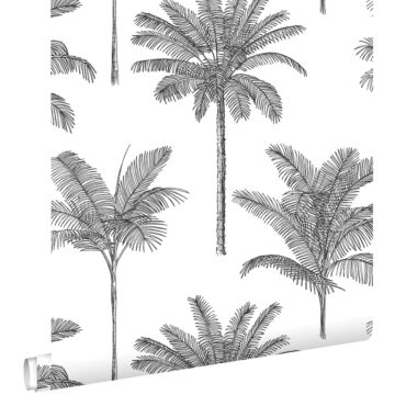 papier peint palmiers noir et blanc