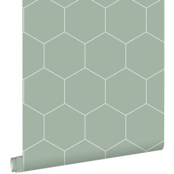 papier peint hexagone vert grisé et blanc