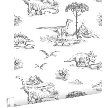 papier peint dinosaures noir et blanc