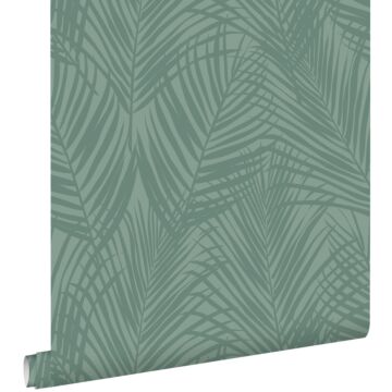 papier peint feuilles de palmier vert de la mer grisé