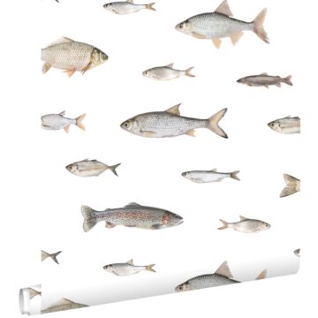 papier peint des poissons gris