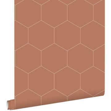 papier peint hexagone terracotta