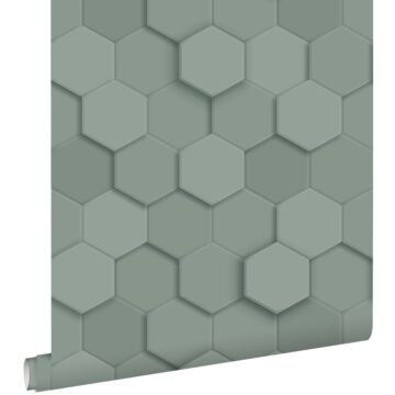 papier peint hexagone 3d vert grisé