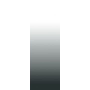 papier peint panoramique gradient de couleur dip-dye à hauteur de chambre noir et blanc