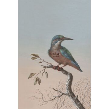 papier peint panoramique martin-pêcheur sur branche rouge grisé clair
