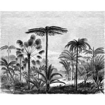 papier peint panoramique paysage tropical avec des palmiers noir et blanc