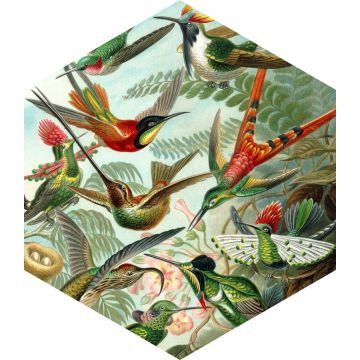 sticker mural oiseaux vert jungle tropicale