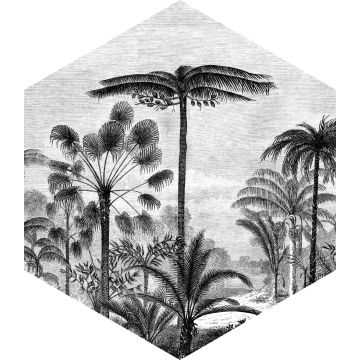 sticker mural paysage tropical avec des palmiers noir et blanc