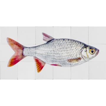sticker mural poisson gris et rouge