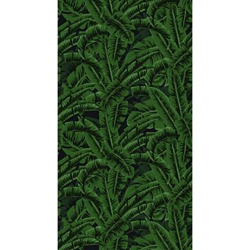 papier peint panoramique feuilles de bananier vert jungle tropicale