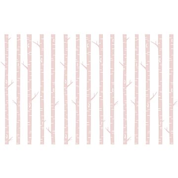 papier peint panoramique troncs de bouleau rose clair