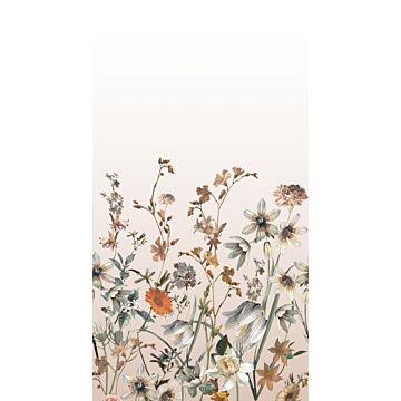 papier peint panoramique fleurs des champs multicolore