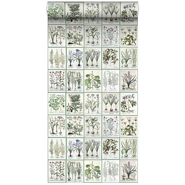 papier peint intissé XXL pages d'un livre botanique avec fleurs et plantes vert