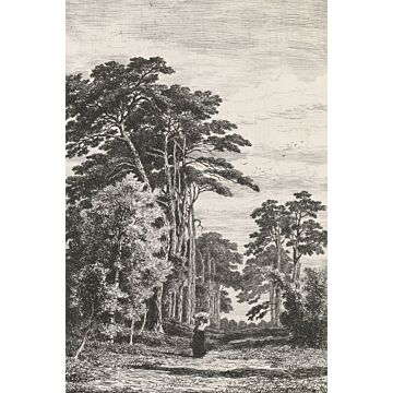 papier peint panoramique paysage boisé noir et blanc