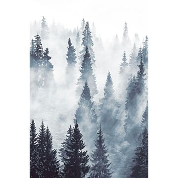 papier peint panoramique forêt brumeuse vert