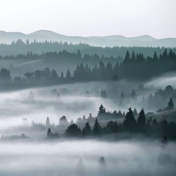 papier peint panoramique montagnes brumeuses vert