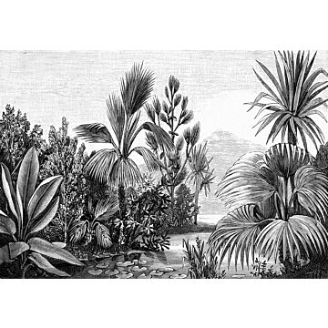 papier peint panoramique paysage tropical noir et blanc